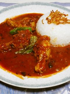 手羽元の煮込みカレー【スパイスカレー】-レシピのメイン写真