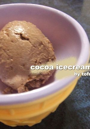 お豆腐ｄｅココア風味アイスクリーム-レシピのメイン写真