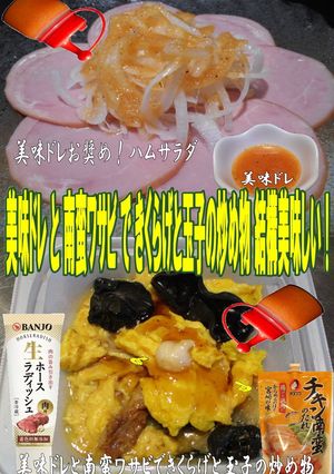 美味ドレ南蛮ワサビきくらげと玉子の炒め物-レシピのメイン写真