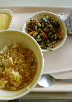 米粉のマーラーカオ【胎内市学校給食】-レシピのメイン写真