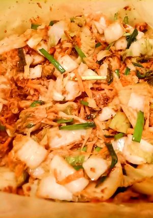 大量の白菜でキムチ-レシピのメイン写真