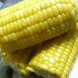 とうもろこしをおいしくゆでるよ♪