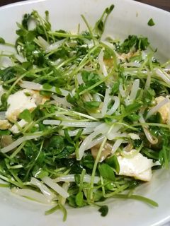 ザーサイと豆苗のナムル風-レシピのメイン写真