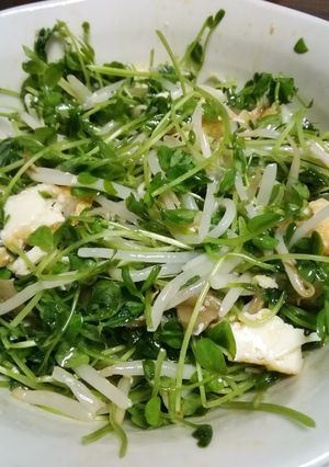 ザーサイと豆苗のナムル風-レシピのメイン写真