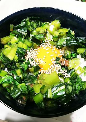 野沢菜漬けたっぷり卵かけご飯☆NTKG☆-レシピのメイン写真