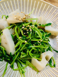 蓮根と豆苗サラダ-レシピのメイン写真