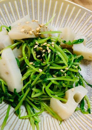 蓮根と豆苗サラダ-レシピのメイン写真