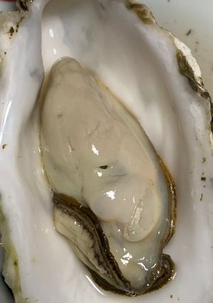 殻付き牡蠣のオーブン焼き-レシピのメイン写真