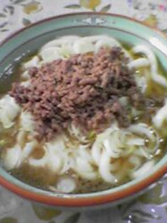 肉ねぎ冷やしうどん-レシピのメイン写真