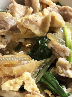 豚ニラ玉ねぎどんぶり-レシピのメイン写真