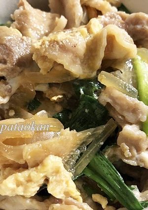 豚ニラ玉ねぎどんぶり-レシピのメイン写真