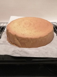 スポンジケーキのスポンジ-レシピのメイン写真