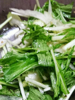 水菜とセロリのナムル-レシピのメイン写真