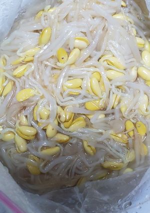 調味料2つで簡単ナムル(*ơᴗơ)-レシピのメイン写真