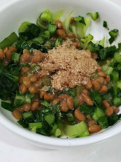 おかか野沢菜納豆-レシピのメイン写真