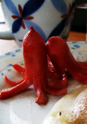 赤ウインナーで失敗しないタコさんの作り方-レシピのメイン写真