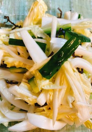 簡単☆白菜と塩昆布のシャキシャキサラダ-レシピのメイン写真