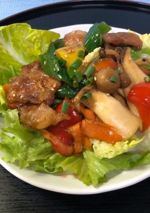 〜焼き肉サラダ〜-レシピのメイン写真