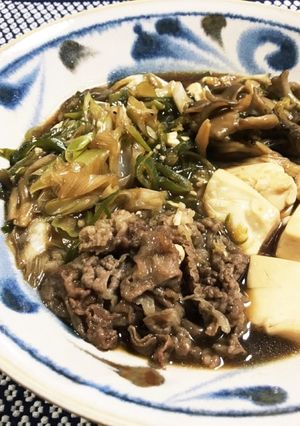 ネギたっぷり肉豆腐-レシピのメイン写真