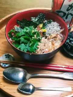 孫は優しい✨栄養たっぷりスタミナ丼✨☺⛄-レシピのメイン写真
