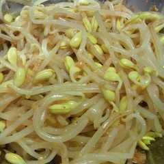 รูปของ 大豆もやしのナムル