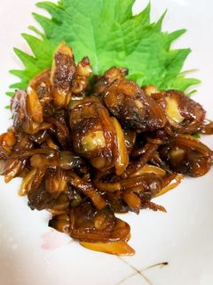 あさりのしぐれ煮★-レシピのメイン写真