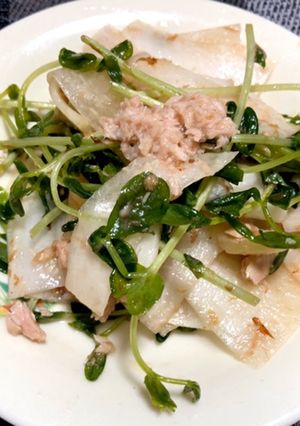 これから豆苗育てるわサラダ-レシピのメイン写真