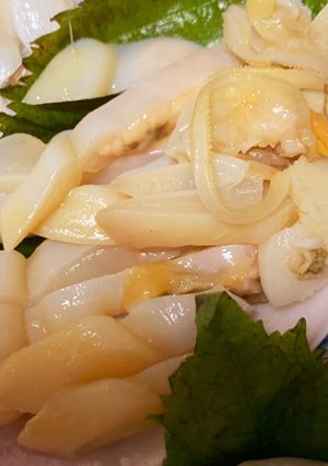 シロガイ、サラガイの捌き方(刺身まで2種-レシピのメイン写真