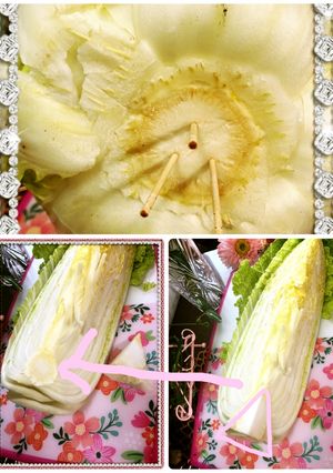 白菜の保存に٩(*´ ꒳ `*)۶-レシピのメイン写真