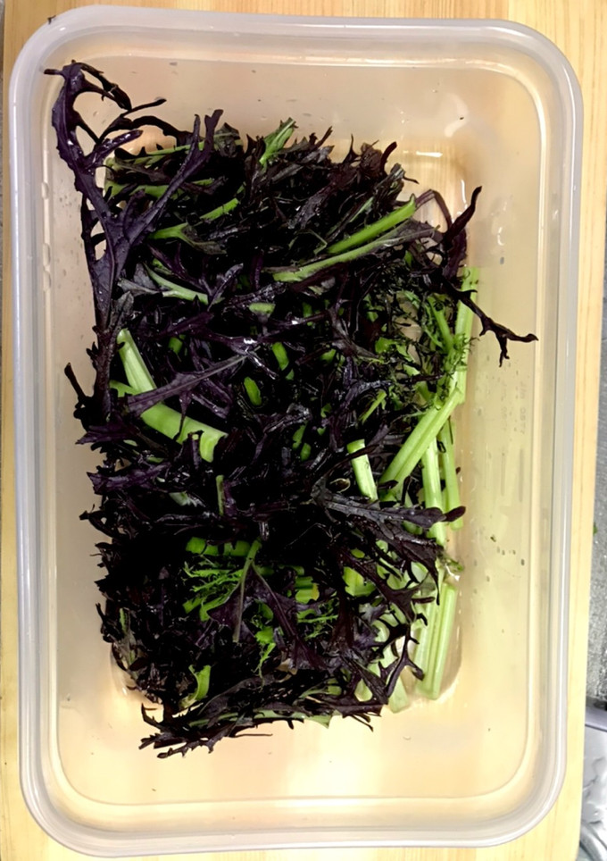 簡単、新鮮長持ち！冬の葉野菜 保存方法-レシピのメイン写真