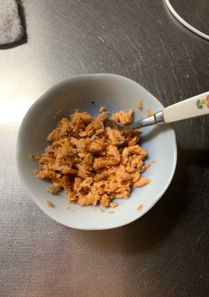 MrsWongちの愛犬用しゃけトッピング-レシピのメイン写真