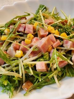 水菜とハムのごまドレサラダ-レシピのメイン写真