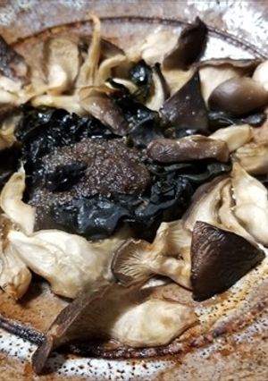天然ヒラタケの焼きキノコ・バター・果実酒-レシピのメイン写真