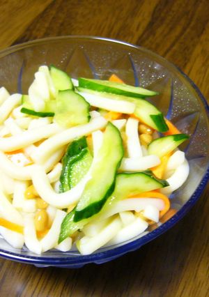 ★さっぱり★納豆うどんサラダ-レシピのメイン写真