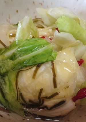 激ウマ♪止まらない♪キャベツ浅漬け♪-レシピのメイン写真