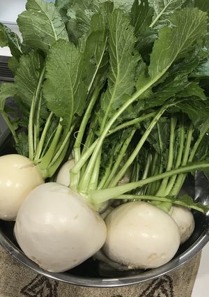 かぶら(カブ)の千枚漬け-レシピのメイン写真