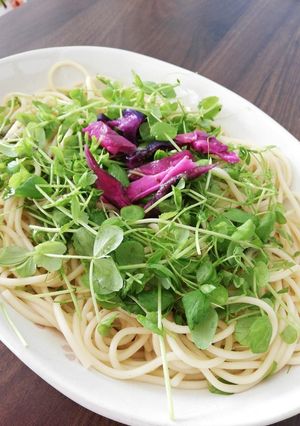 青じそ香る豆苗の和風パスタ-レシピのメイン写真