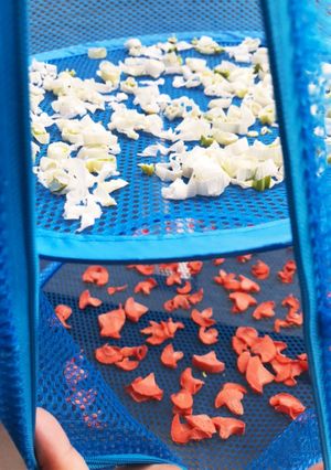 めっちゃ簡単乾燥野菜-レシピのメイン写真