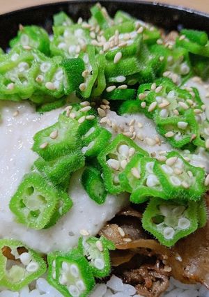 我が家のスタミナ丼☆-レシピのメイン写真