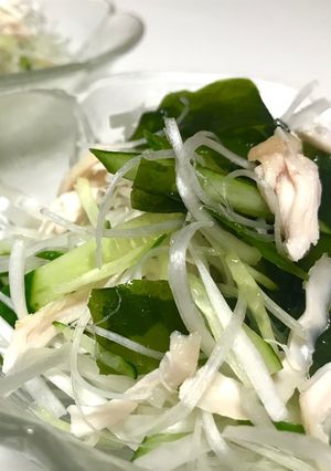 鶏ささみと白髪ねぎのサラダ-レシピのメイン写真