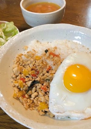 子どもも食べれる！本格ガパオライス♪-レシピのメイン写真
