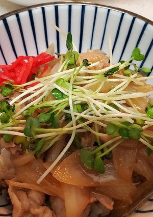 ガチで豚丼です！-レシピのメイン写真