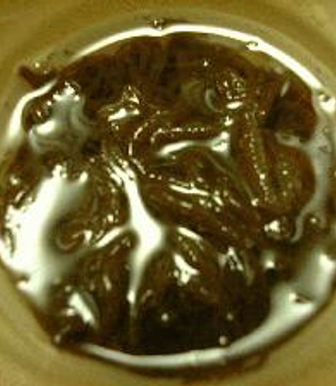 もずく酢୨୧ もずく職人が作り上げた 極上 生もずく酢|有機野菜 通販 Oisix