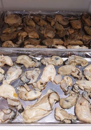 加熱用牡蠣の個冷凍-レシピのメイン写真