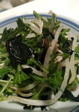 水菜ともやしのサラダ-レシピのメイン写真