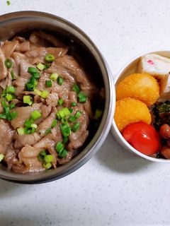 ☆高校生娘のお弁当☆163-レシピのメイン写真