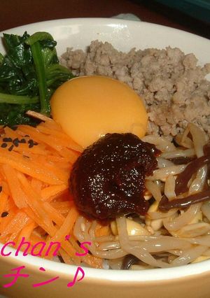 おうちで　具だくさんビビンパ-レシピのメイン写真