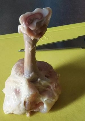 チューリップの作り方-レシピのメイン写真
