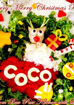 ベリーメリークリスマスディナー☆犬ごはん-レシピのメイン写真