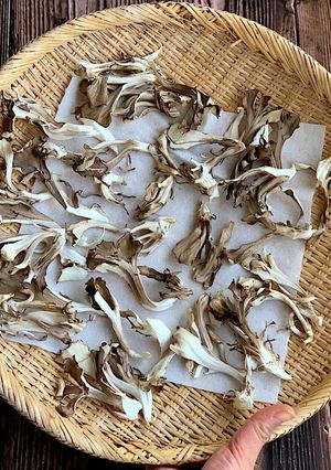 干し舞茸*天日干し1日で旨味と香りアップ-レシピのメイン写真